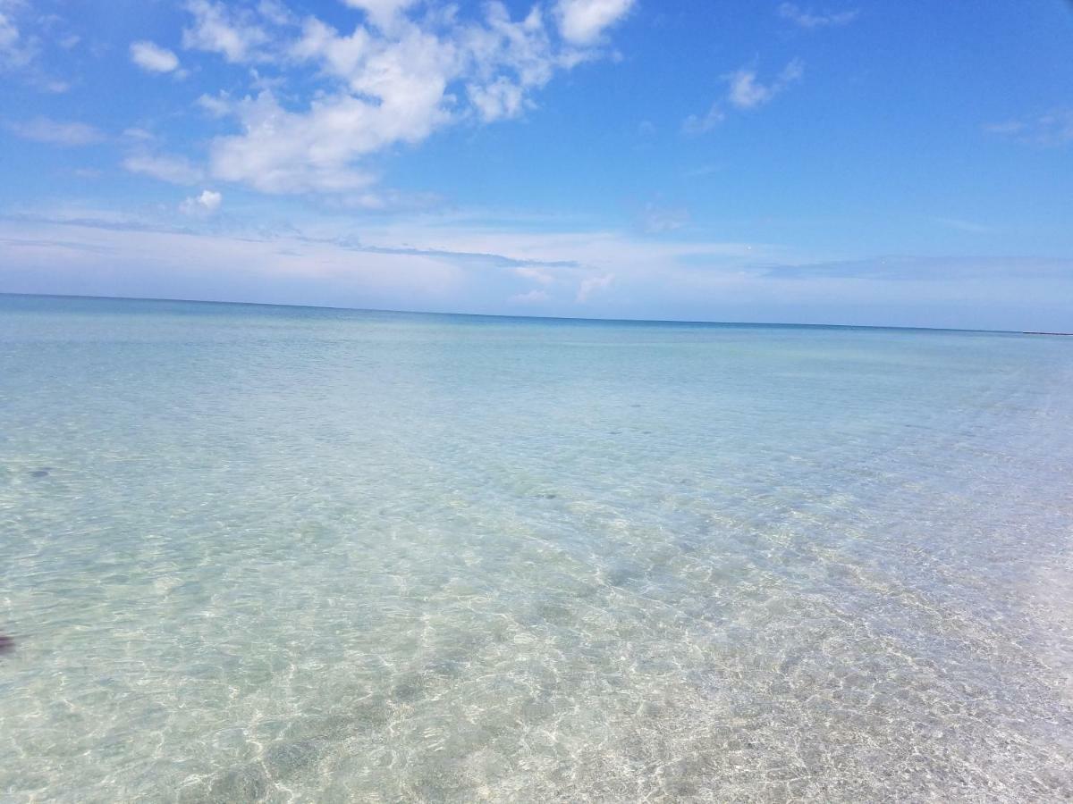 Amazing Panoramic Beach View And The Most Beautiful Sunset Longboat Key Eksteriør billede